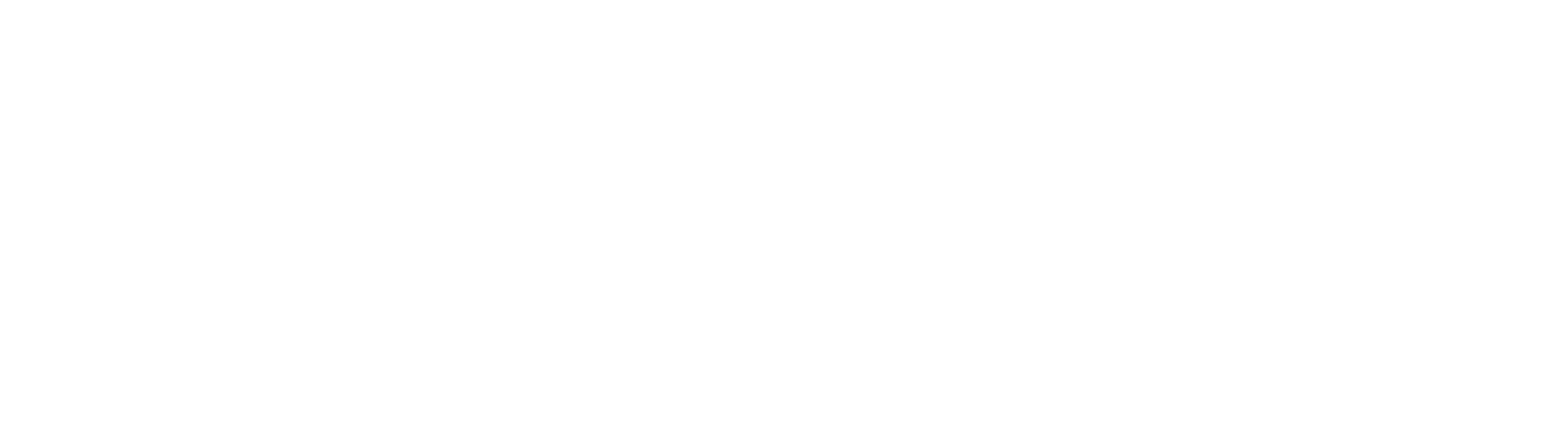 Logo - Hanwha Techwin America