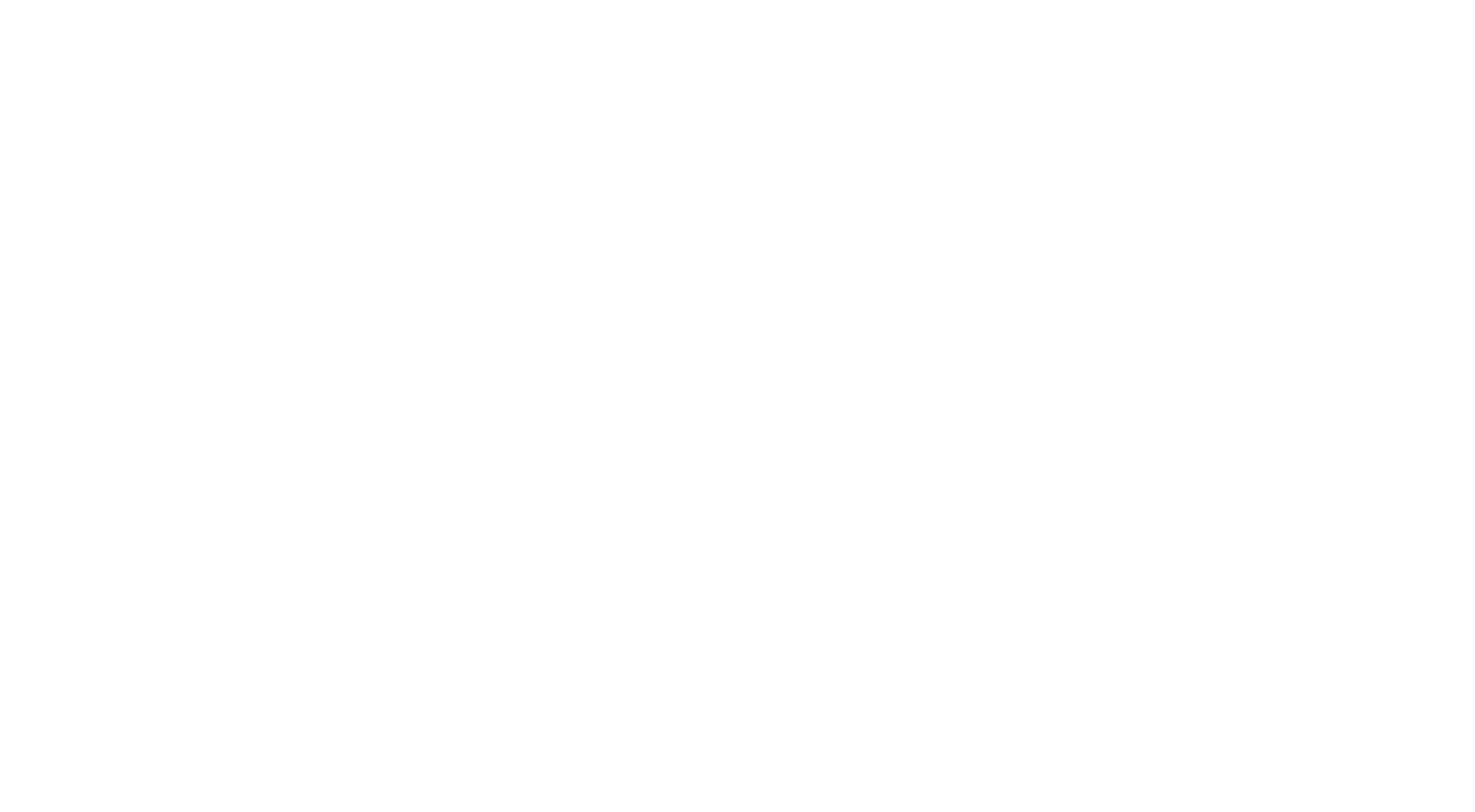 Protectowire FireSystems Logo
